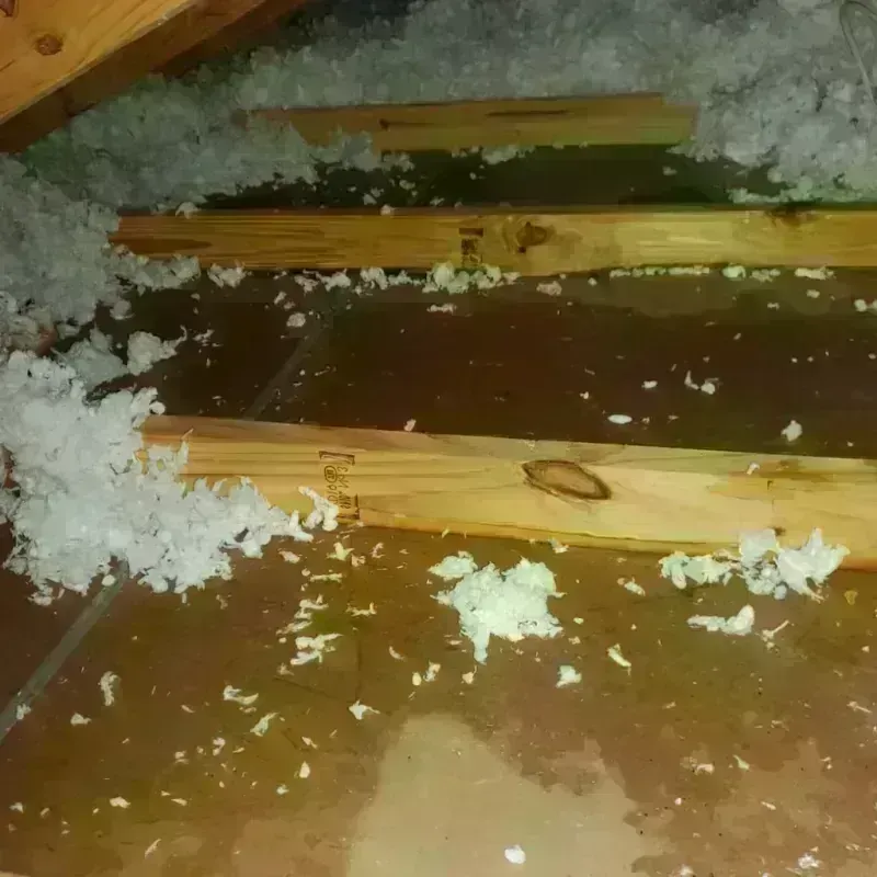 Attic Water Damage in Farmington, UT