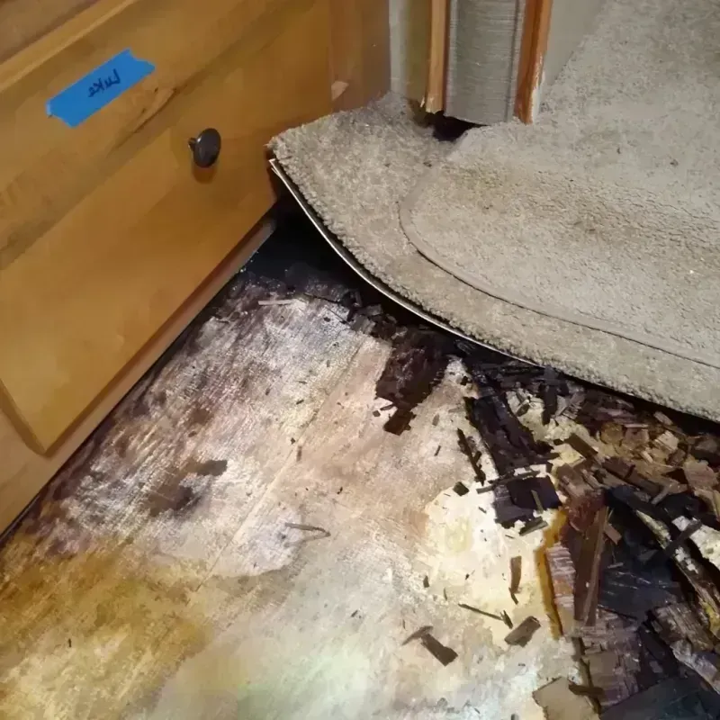 Best Wood Floor Water Damage Service in Farmington, UT